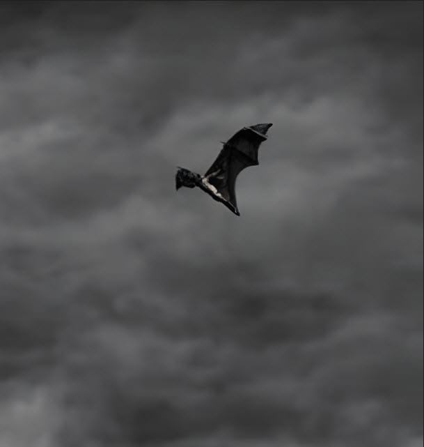 Flying Bat with Clouds