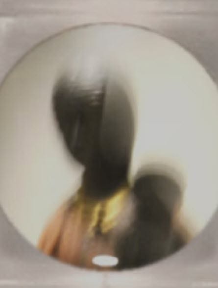 Harriet Arnow Sees You